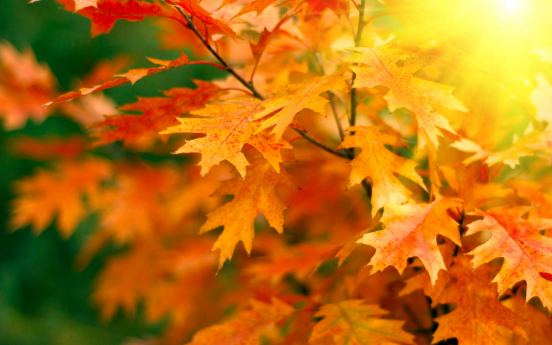 Para onde viajar no Outono/Inverno?