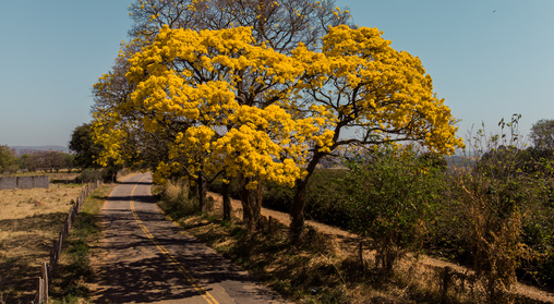 Primavera romântica: viagens para casais com economia no Candeias
