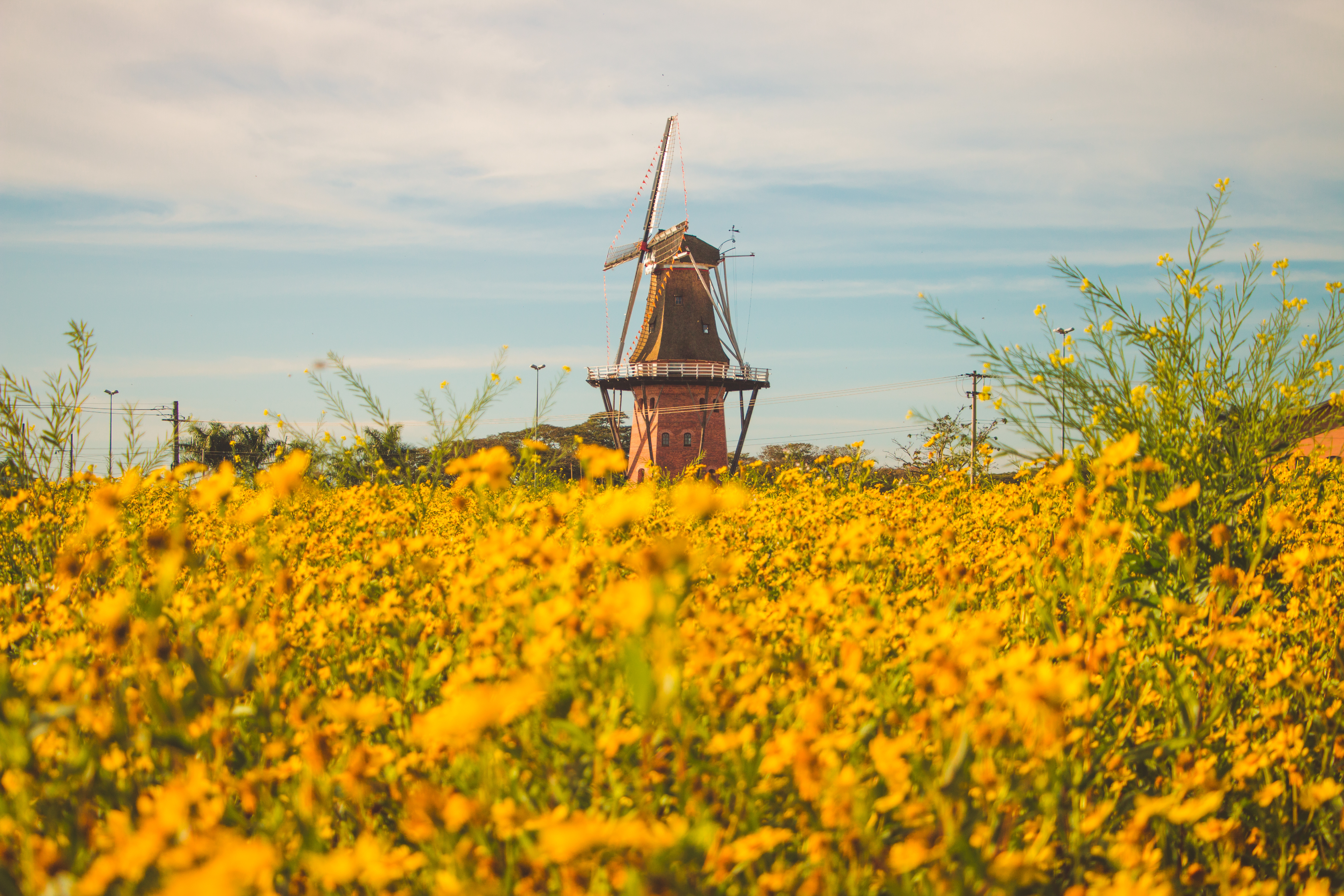 Lugares perto de SP para bate e volta: 4 destinos incríveis perto de São Paulo