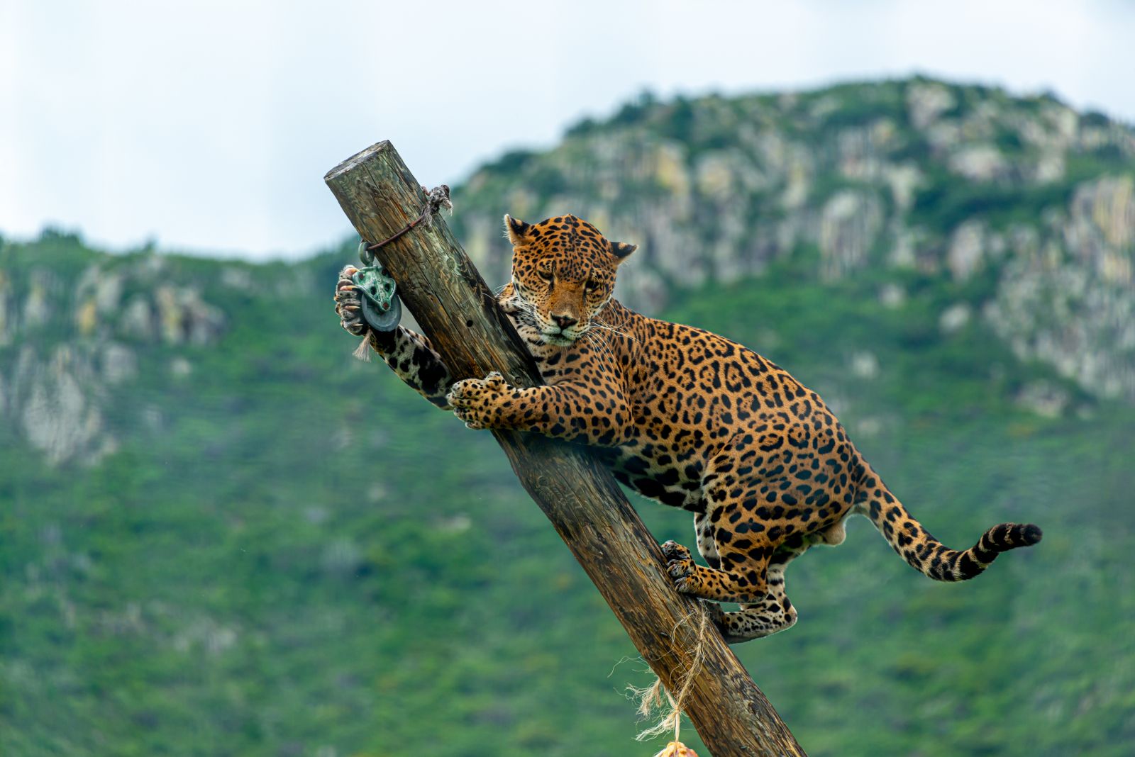 viagens-ao-ar-livre-em-Mato-Grosso-do-Sul